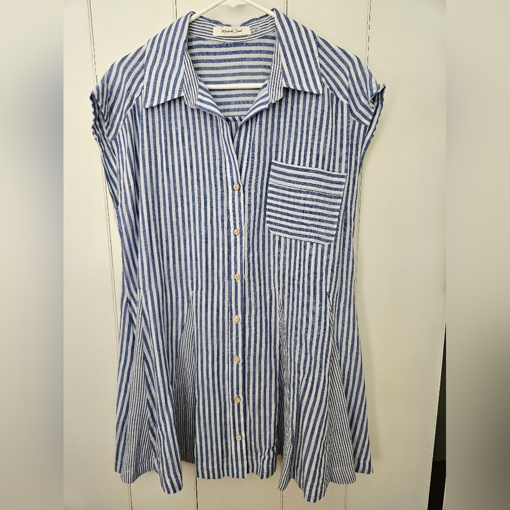 Blue and White Striped Button-Up Dress